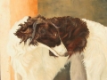 Lona, oil painting, 40 cm x 50 cm