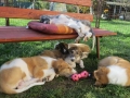 afternoon rest