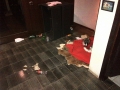 IMG-20131215-00385