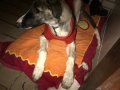 IMG-20131215-00389