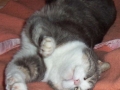 Lona's friend Tisa, 2006.