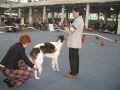 Lona, Dog Show 03.03.2007.