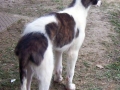 2 mjeseca_2