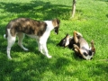 26.04.09._Tajna & Nera-a