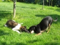 26.04.09._Tajna & Nera
