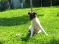 26.04.09._Tajna