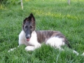 b_3,5 months_3,5 mjeseca