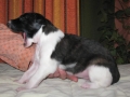 14th day - 14. dan_2