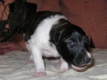 14th day - 14.dan_5
