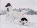 Oil on Canvas, 3 borzois. 30 x 25 cm