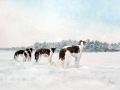 Oil on Canvas, 4 borzois, 70 x 50 cm