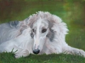Oil on Canvas, Borzoi, Nali2, 40 x 30 cm