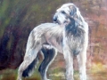 Oil on Canvas, Irish wolfhound1, 60 x 50 cm