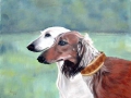 Oil on Canvas, Saluki1, 50 x 40 cm