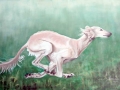 Oil on Canvas, Saluki2, 60 x 40 cm